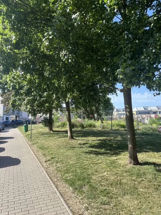 Stav navazující veřejně přístupné plochy